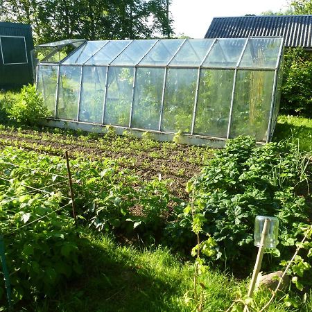 Traumhaftes Luxus-Ferienhaus Warnkenhagen  Ngoại thất bức ảnh
