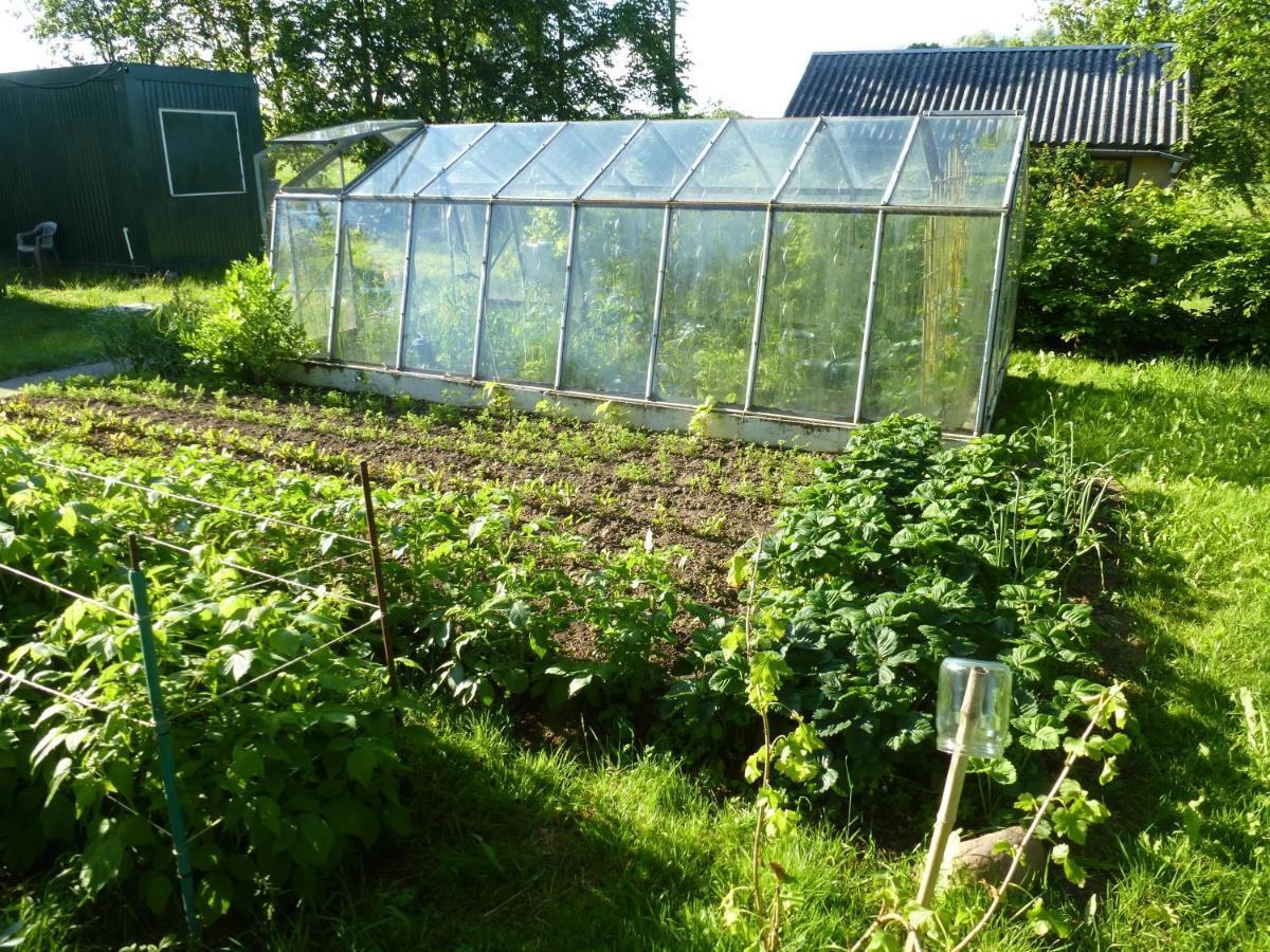 Traumhaftes Luxus-Ferienhaus Warnkenhagen  Ngoại thất bức ảnh